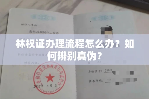 全国林权证办理流程怎么办?如何辨别真伪?